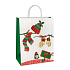Ditipo Geschenk Papiertüte EKO 22 x 10 x 29 cm weiße Mütze, Schal, Handschuhe
