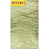 Nekupto Zellophantasche 20 x 35 cm Weihnachtsgold CP 179 12