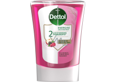 Dettol Waldfrüchte Flüssigseife Nachfüllung, 250 ml