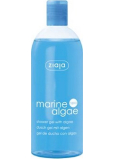 Ziaja Marine Algae Spa Seetang Duschgel 500 ml