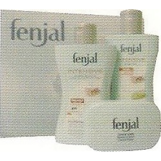 Fenjal Intensive 3 Duschgel 200 ml + Körperlotion 200 ml + Seife 100 g, Kosmetikset