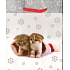 Albi Geschenkpapier kleine Tasche 13,5 x 11 x 6 cm Weihnachten TS3 96226