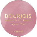 Bourjois Fard Pastel Joues Rouge 54 Rose Frisson 2,5 g