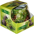 Lassen Sie Kiefer dekorative aromatische Kerze im Glas 80 g
