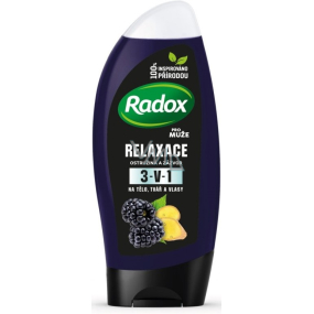 Radox Men Relaxation Brombeere und Ingwer 3in1 Duschgel und Shampoo für Männer 250 ml