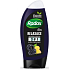 Radox Men Relaxation Brombeere und Ingwer 3in1 Duschgel und Shampoo für Männer 250 ml