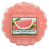 Yankee Candle Pink Grapefruit 22 g