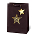 BSB Luxus Geschenk Papiertüte 36 x 26 x 14 cm Weihnachtsstern Festival VDT 417 - A4