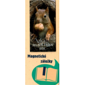 Albi Magnetisches Lesezeichen für das Buch Eichhörnchen mit Nuss 8,7 x 4,4 cm