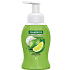 Palmolive Magic Softness Zitrone & Minze schäumende flüssige Handwäsche 250 ml Spender 12 Stück Karton