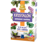Agro Kristalon Zimmerpflanzen Universaldünger 0,25 kg für 125 l Gießwasser