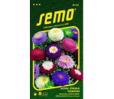 Semo Astra Chinesische Pompon Mischung 0,5 g