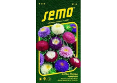 Semo Astra Chinesische Pompon Mischung 0,5 g