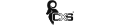 CXS®