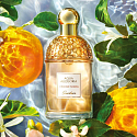 Guerlain Aqua Allegoria Orange Soleia Eau de Toilette für Frauen 30 ml
