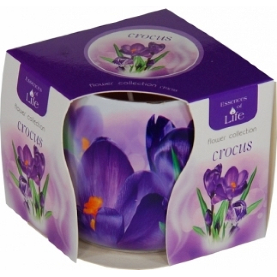 Essenzen des Lebens Krokus aromatische Kerze in Glas 100 g