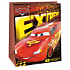Ditipo Geschenk Papiertüte 26,4 x 12 x 32,4 cm Disney Cars, Extreme
