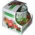 Admit Christmas Decorations Duftkerze im Glas 80 g