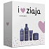 Ziaja Acai Berry Regenerierende Gesichts- und Halsgesichtscreme 50 ml + Hautstärkungsmittel mit Hyaluronsäure 200 ml + Duschseife mit feuchtigkeitsspendendem Balsam 300 ml + feuchtigkeitsspendender Körperschaum 200 ml, kosmetisches Set
