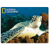 Prime3D Postkarte - Wasserschildkröte 16 x 12 cm