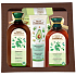 Green Pharmacy Brennnessel- und Klettenwurzelöl-Shampoo für normales Haar 350 ml für Frauen + Haarspülung 300 ml + Aloe- und Avocadoöl-Feuchtigkeitscreme für Hände und Nägel 100 ml + Lippenbalsam 3,6 g, Kosmetikset