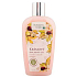 Bohemia Gifts Castanum Extrakt aus Rosskastanie regenerierendes Duschgel 250 ml