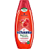 Schauma Nature Moments Saftiges Himbeer- und Sonnenblumenöl für Farbschutz und Glanz Haarshampoo 400 ml