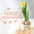 Nekupto Ostern wünscht frohe Ostern sonnige Frühlingstage 100 x 100 mm 3556 XI