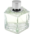 Celine Dion Belong Eau de Toilette für Frauen 100 ml Tester
