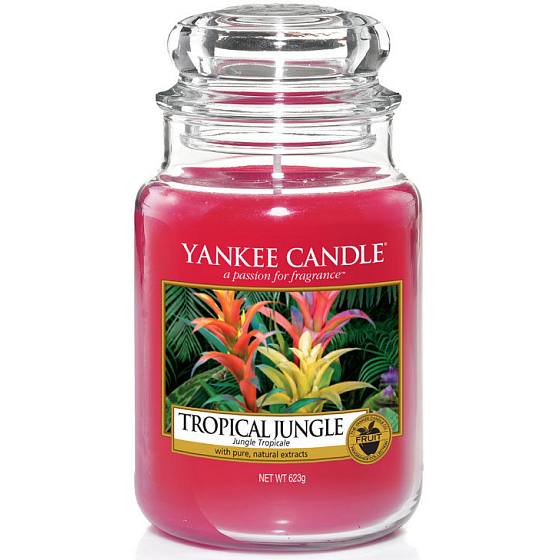Yankee Candle Tropical Jungle - Tropischer Dschungel Duftkerze Classic groß Glas 623 g