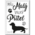 Nekupto Pets Magnet Dackel 66 x 90 x 2 mm