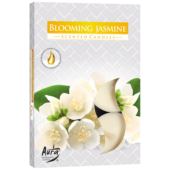 Bispol Aura Blooming Jasmine - Blühender Jasmin Duft-Teelichter 6 Stück