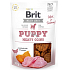 Brit Jerky Trockenfleisch mit Pute und Huhn für Welpen 80 g