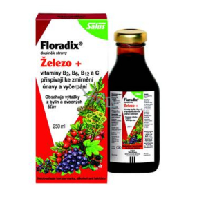 Salus Floradix Iron+ eisenhaltiger Sirup gegen Müdigkeit und Erschöpfung 250 ml