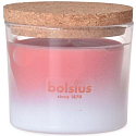 Bolsius True Joy Floral Blessings Duftkerze im Glas mit Korkdeckel 80 x 75 mm, Brenndauer 21 Stunden