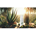 Regina Aloe Vera Tagescreme für problematische Haut 50 ml