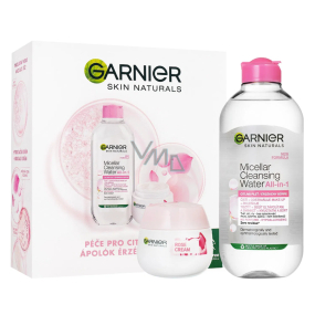 Garnier Skin Naturals Rose Cream Gesichtscreme 50 ml + Skin Naturals All-in-1 Mizellenwasser 400 ml, Kosmetikset für Frauen