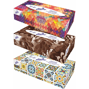 Linteo 2-lagige Papiertaschentücher, Box 100 Stück