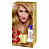Wella Wellaton Foam Haarfarbe 8/3 Hellgoldblond
