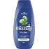 Schauma Shampoo Men Classic für normale Haare, 250 ml