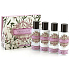 Somerset Toiletry White Jasmine Körperlotion 50 ml + Duschgel 50 ml + Shampoo mit Haaren 50 ml + Haarspülung 50 ml, kosmetisches Reiseset