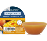 Yankee Candle Mango Pfirsichsalsa - Mango und Pfirsichsalsa duftendes Wachs für Aromalampe 22 g