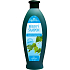 Herbavera Birken-Shampoo für fettiges Haar, 550 ml