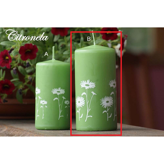 Lima Citronela Mückenschutz Kerze duftend mit Blumen grünes Blatt Zylinder 60 x 120 mm 1 Stück