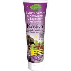 Bio Bione Cosmetics Kräuterbalsam mit Beinwell und Kastanie 300 ml