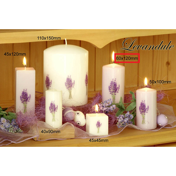 Lima Flower Lavender Duftkerze weiß mit Aufkleber Lavendel Zylinder 60 x 120 mm 1 Stück