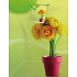 Nekupto Geschenk Papiertüte 23 x 18 x 10 cm Grün mit Blumentopf 1289 01 KAM