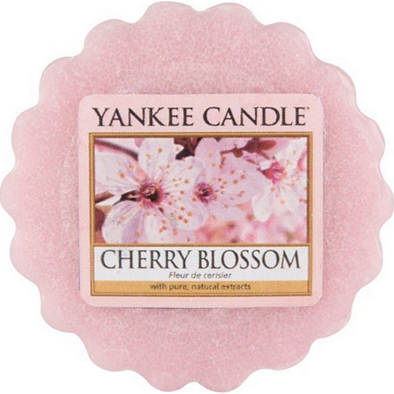 Yankee Candle Cherry Blossom - Kirschblüten-Duftwachs für Aromalampe 22 g