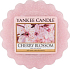 Yankee Candle Cherry Blossom - Kirschblüten-Duftwachs für Aromalampe 22 g