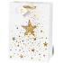 BSB Luxus Geschenk Papiertüte 36 x 26 x 14 cm Weihnachtsweiß mit 3D Stern VDT 426-A4